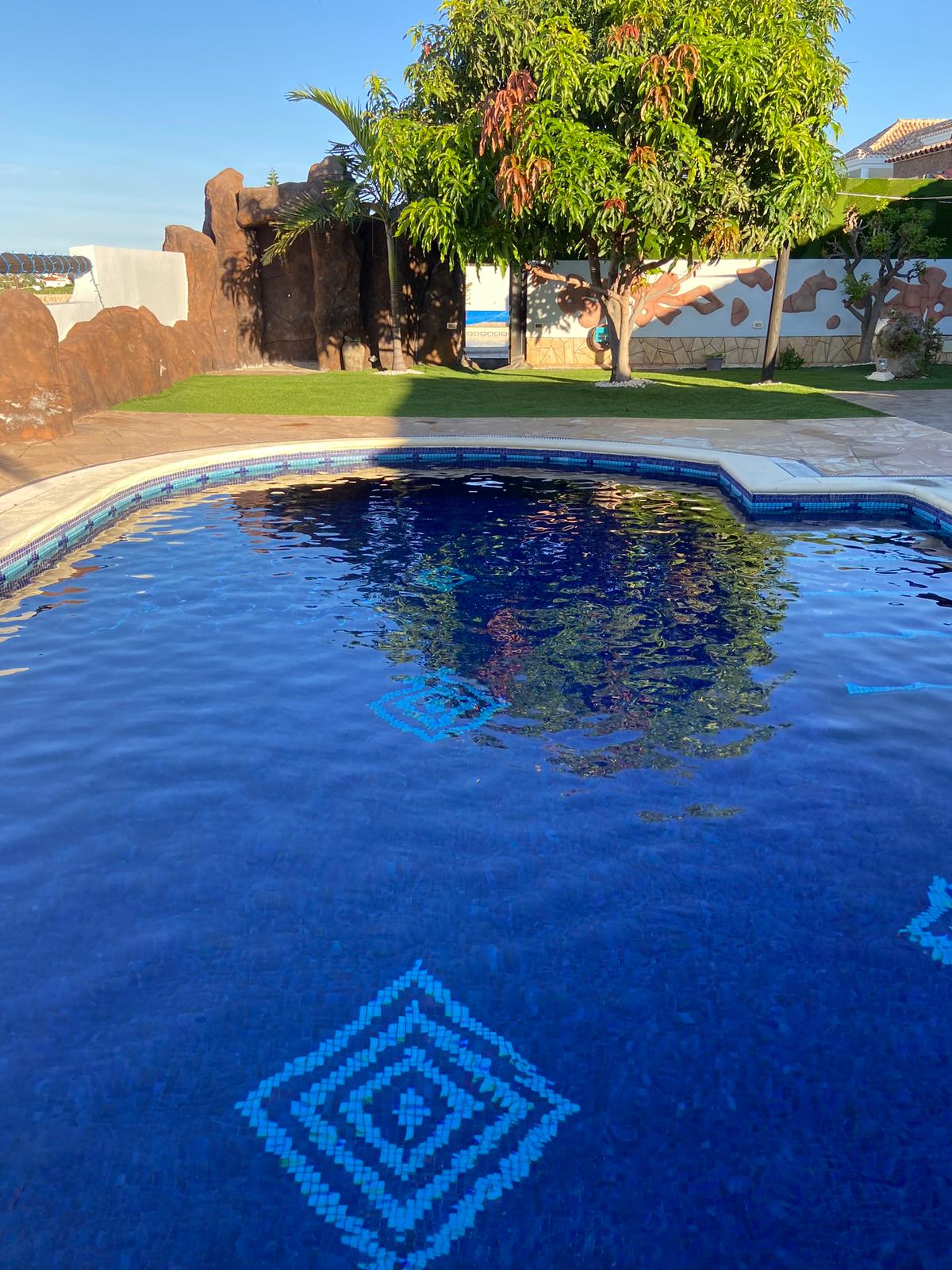 foto de piscina con fondo azul de azulejos en tenerife arbol de fondo y patio